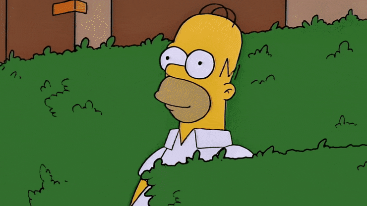 Homer se esconde entre los matorrales