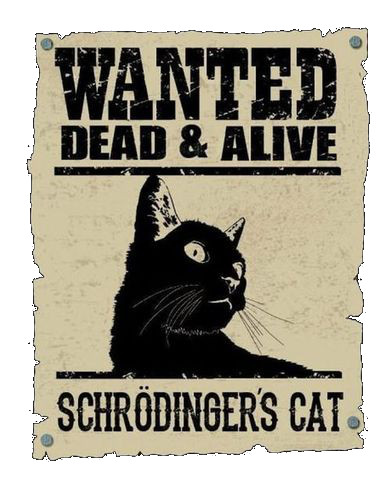 El gato de Schrödinger: Wanted Dead & Alive