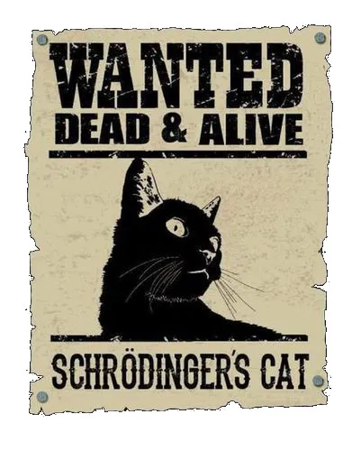 El gato de Schrödinger: Wanted Dead & Alive