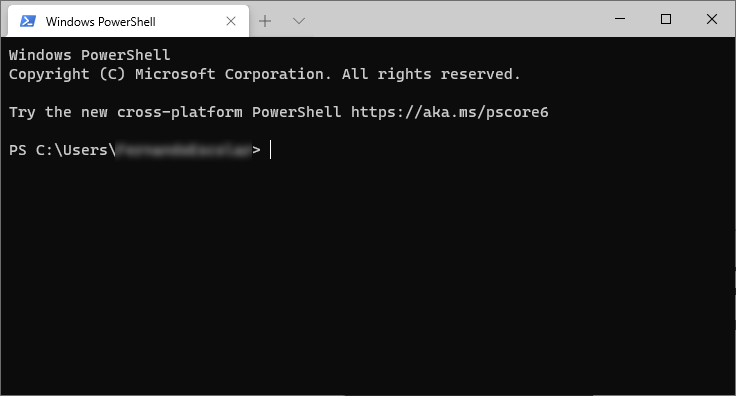 windows terminal with git bash