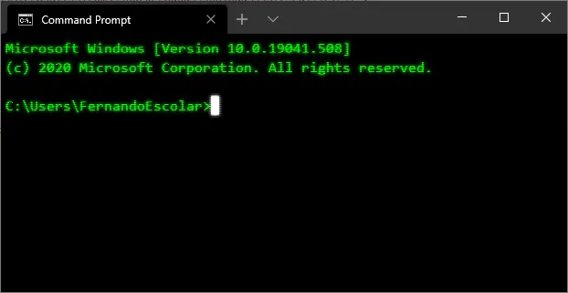windows terminal efecto retro
