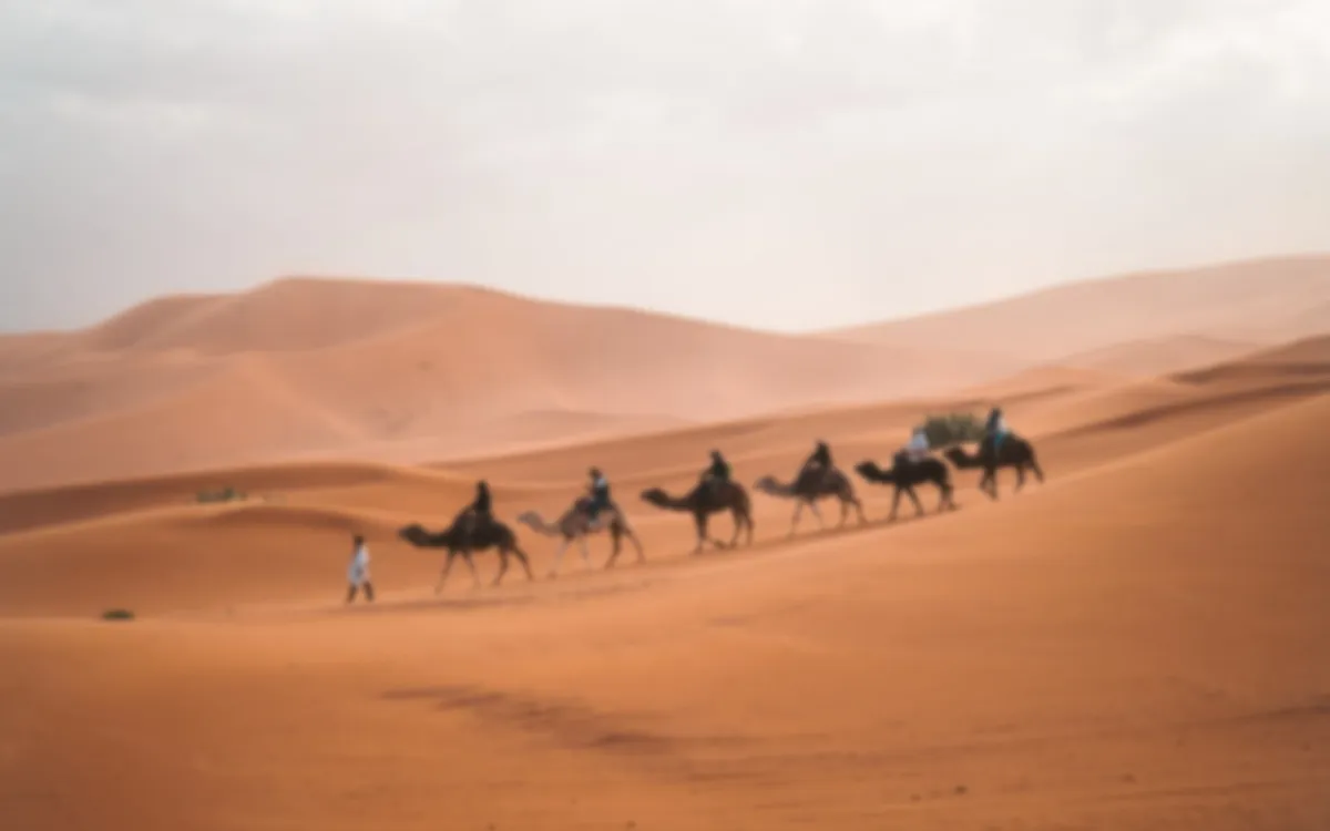 Ilustración que queda bonita en el layout del portfolio