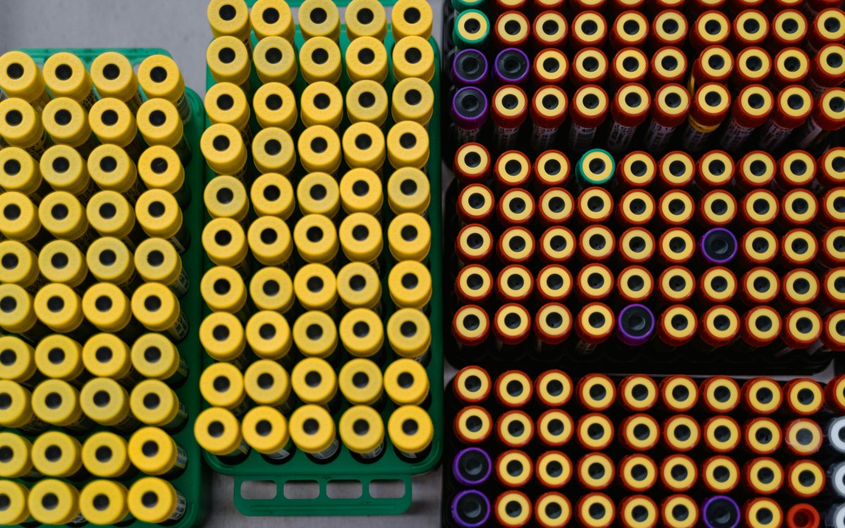 Ilustración que queda bonita en el layout del portfolio