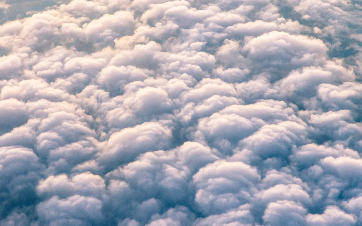 Ilustración que queda bonita en el layout del portfolio